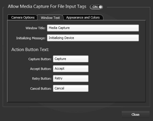 Media Capture Options, Windows Text Tab